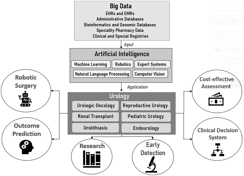 Applications of AI and Big Data in Healthcare