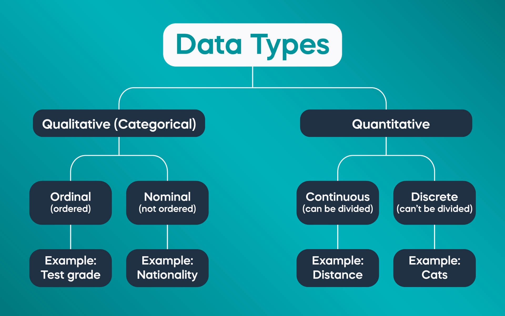 Types of Dataset